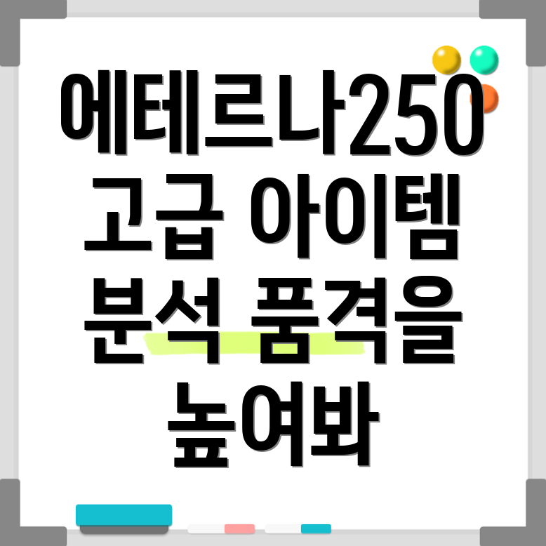 에테르나250당신의품격을높여줄고급아이템분석