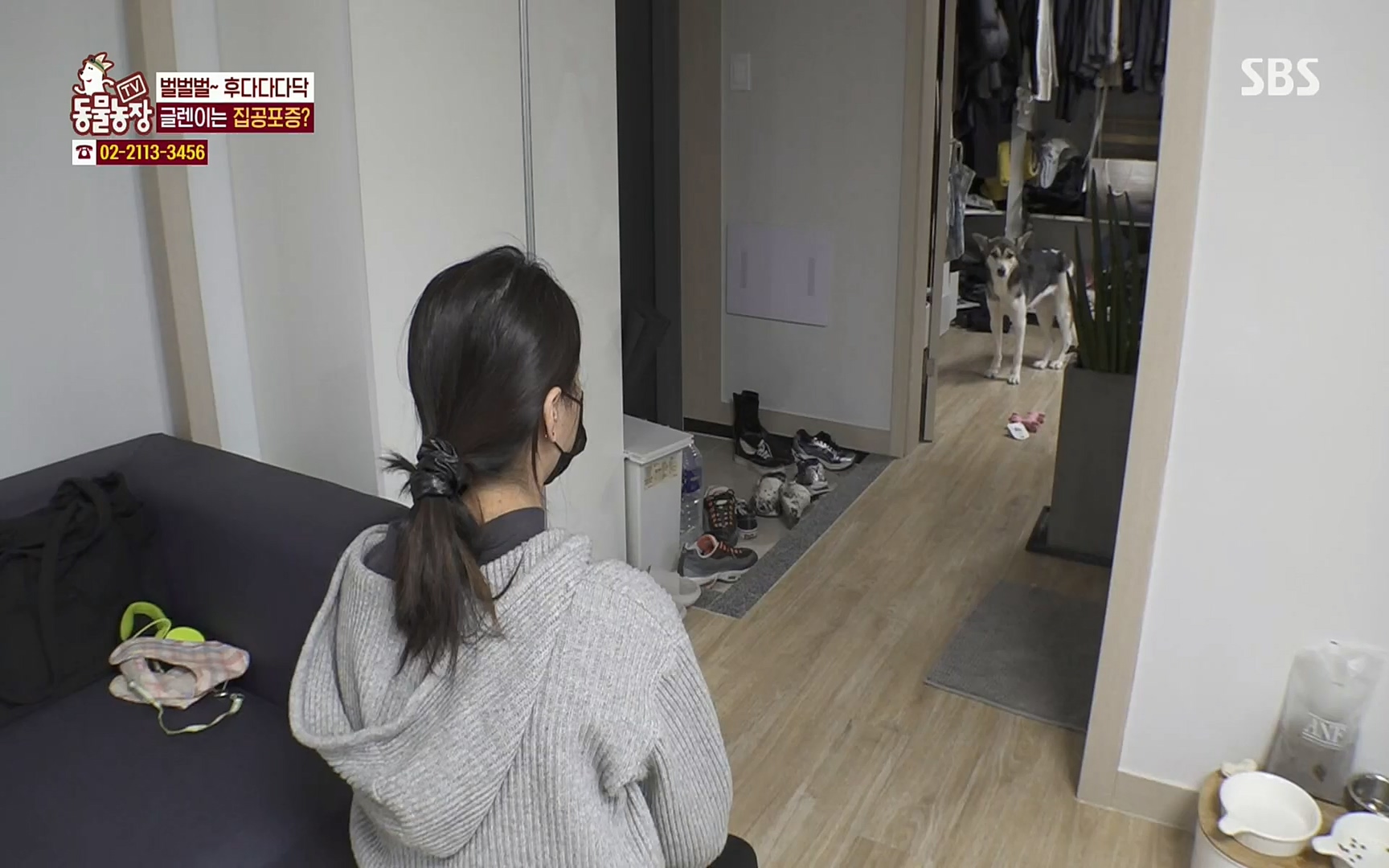 TV 동물농장.E1066.220424p.H264-F1RST.mp4_20220424_201017.886.jpg
