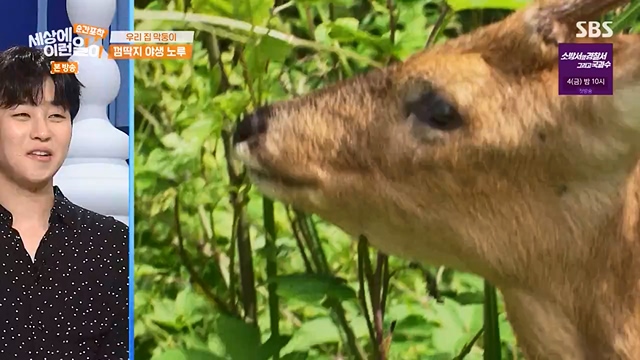 순간포착 세상에 이런일이.E1237.230716p-NEXT.mp4_20230716_174152.236.jpg