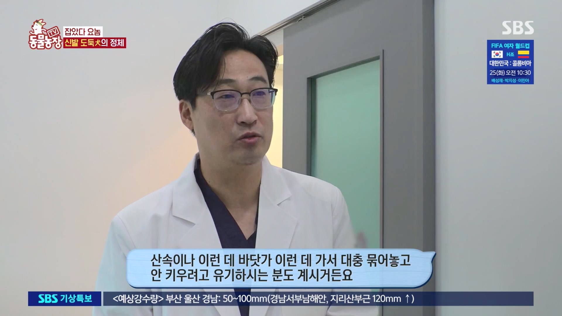 TV 동물농장.E1130.230723p.H264-F1RST.mp4_20230723_171222.970.jpg
