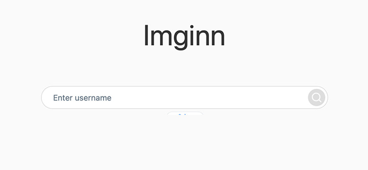 imginn.com