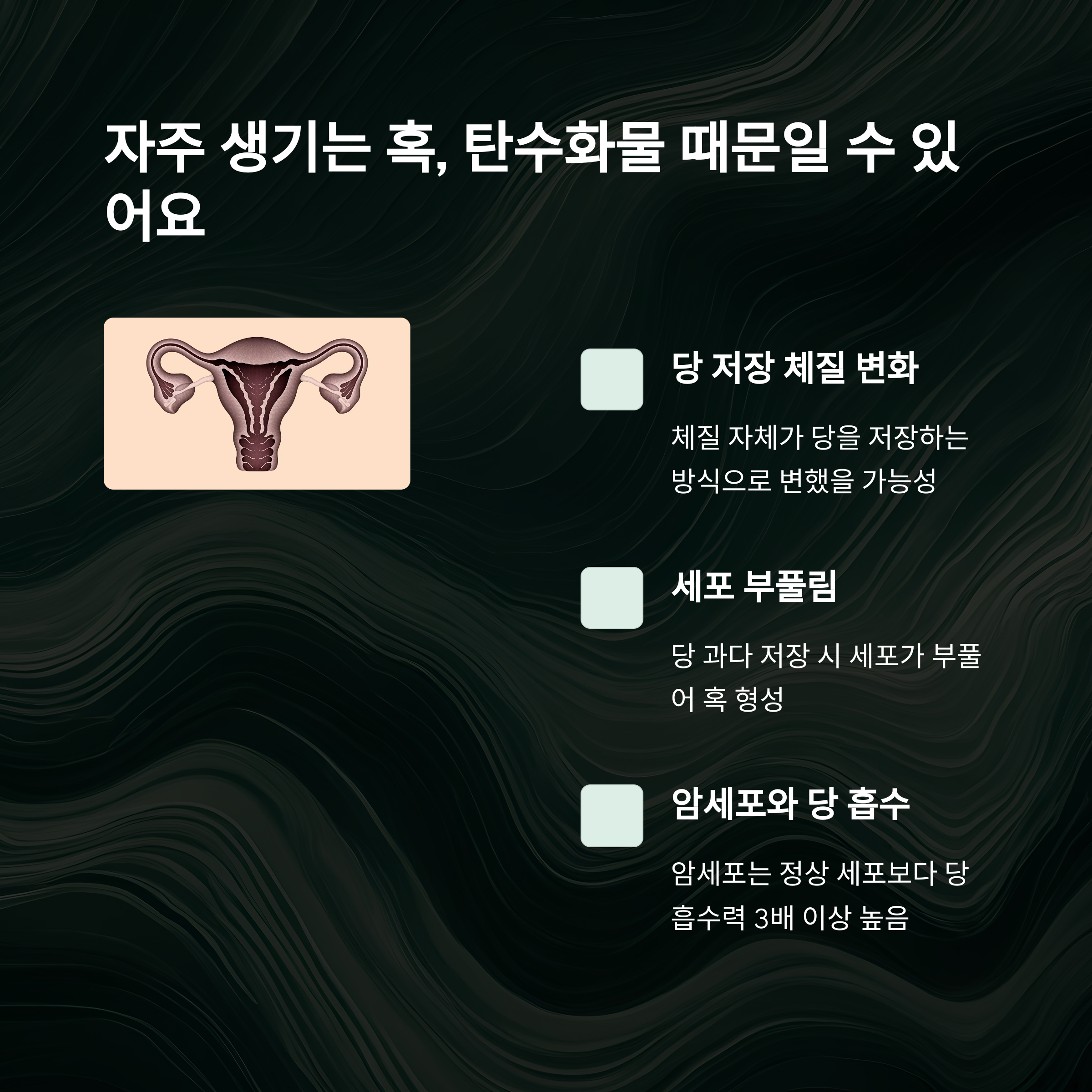 임신 준비 식습관 – 탄수화물 과잉이 초래하는 변화
