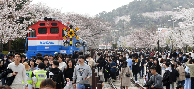 진해 군항제 벚꽃축제 안내 (2023 최신버전) 62