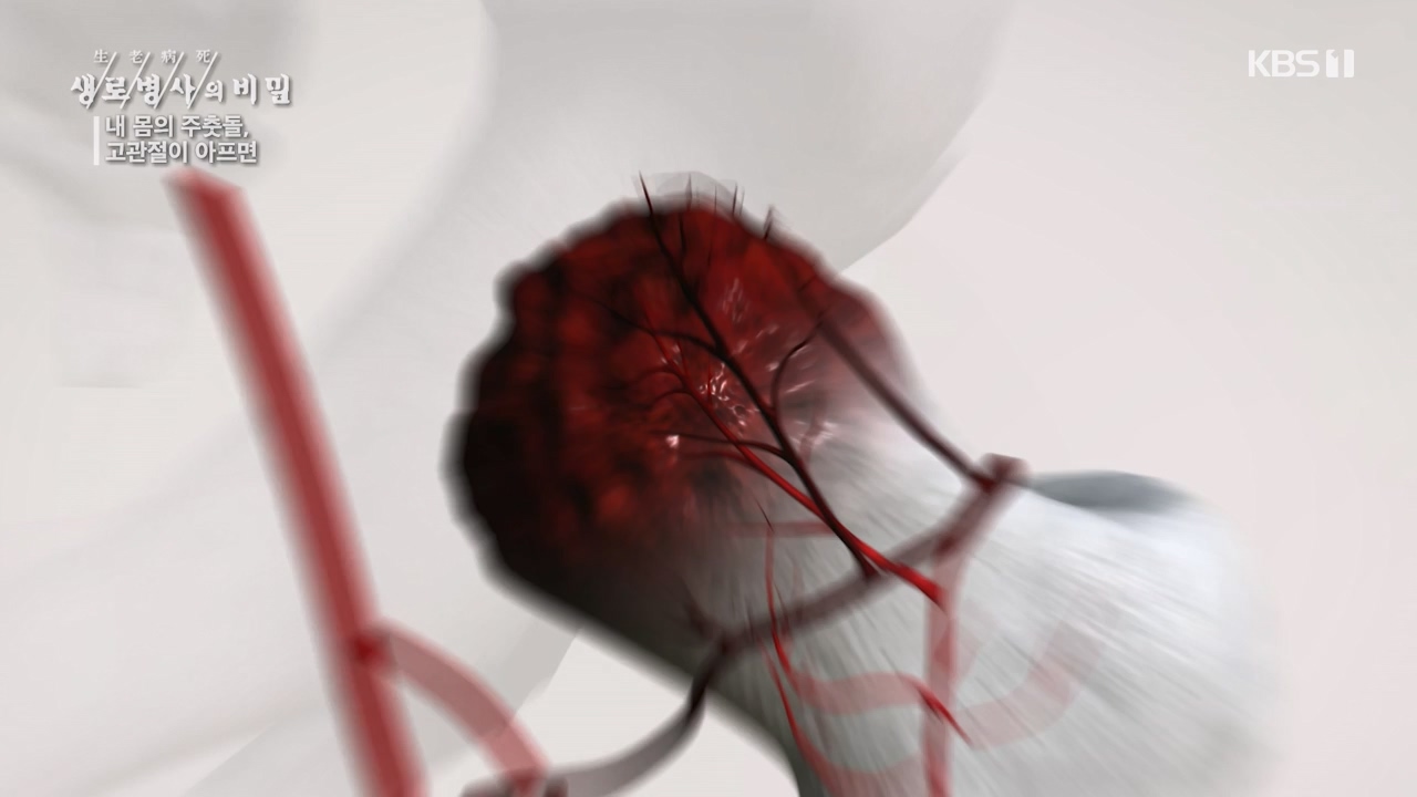 생로병사의 비밀.E890.231116p-NEXT.mp4_20231116_204852.757.jpg