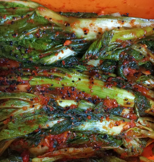 김치통에 담은 돌산갓 김치