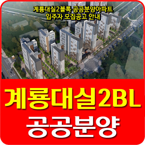  계룡대실 2블록 공공분양아파트 입주자 모집공고 안내