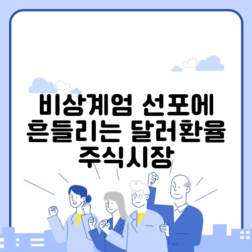 비상계엄 선포에 흔들리는 달러환율 주식시장