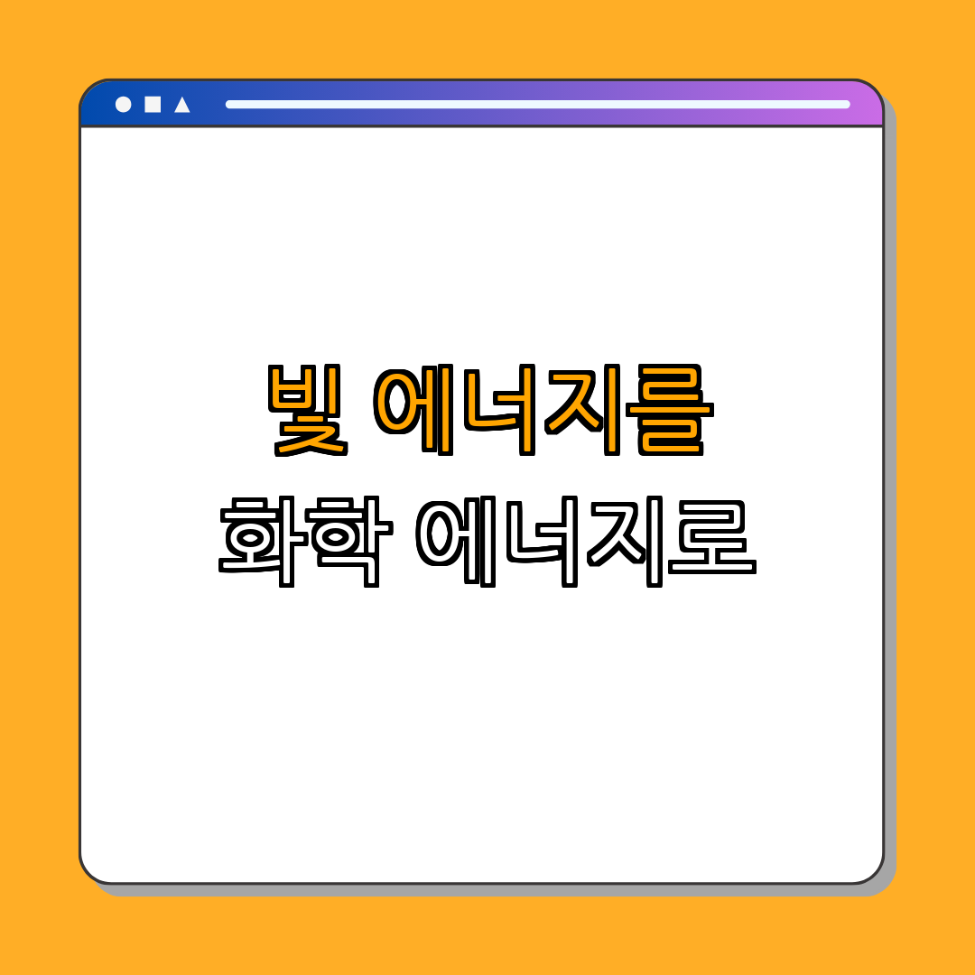 광합성 ｜ 이해하기 ｜ 과정 탐구 ｜ 중요성 알아보기 ｜ 효율성 분석 ｜ 총정리
