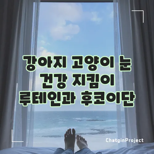 강아지 고양이 눈 건강 지킴이 루테인과 후코이단, 꼭 챙겨주세요!