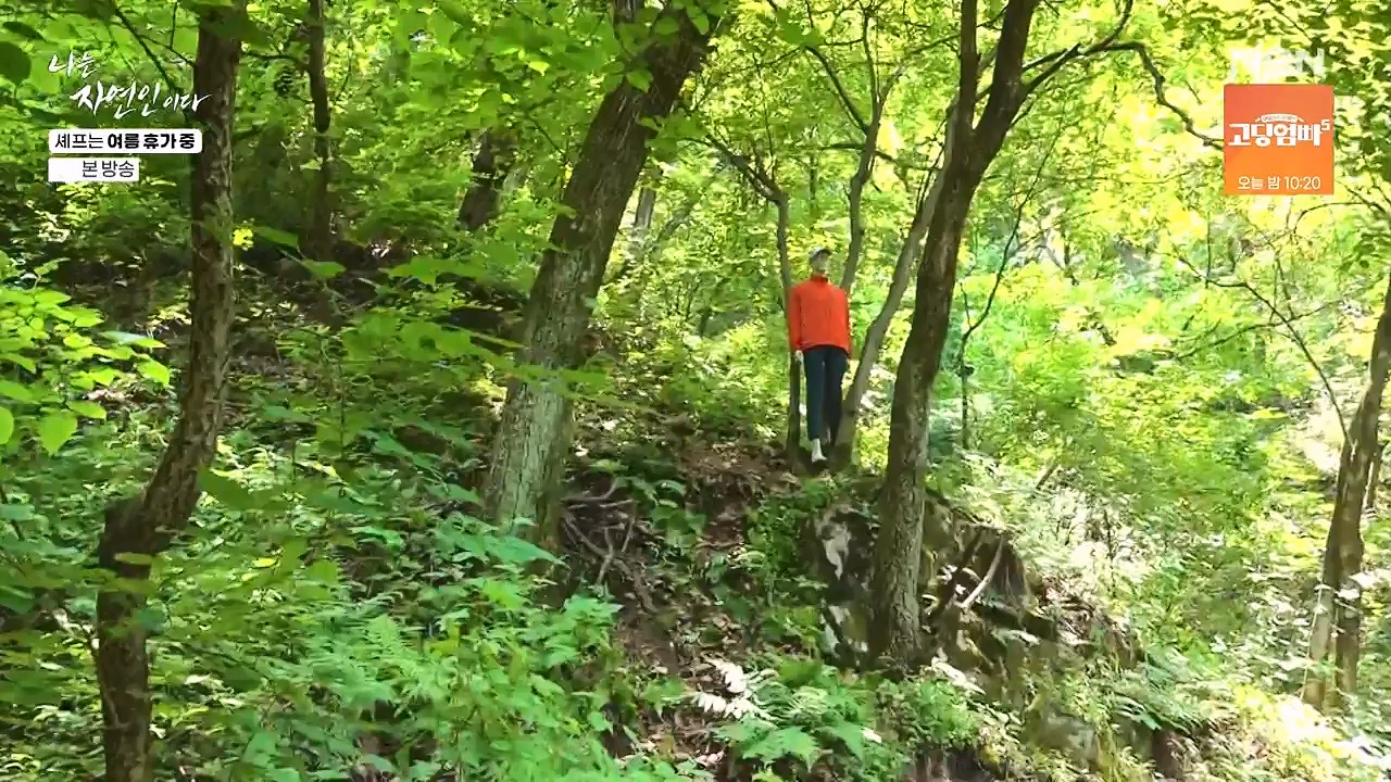 나는 자연인이다.E611.240627p-NEXT.mp4_20240627_195559.168.jpg