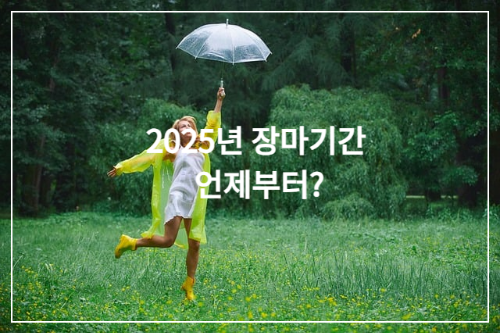 2025년-장마-비-여자-우산
