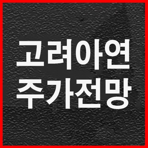  고려아연 주가 전망