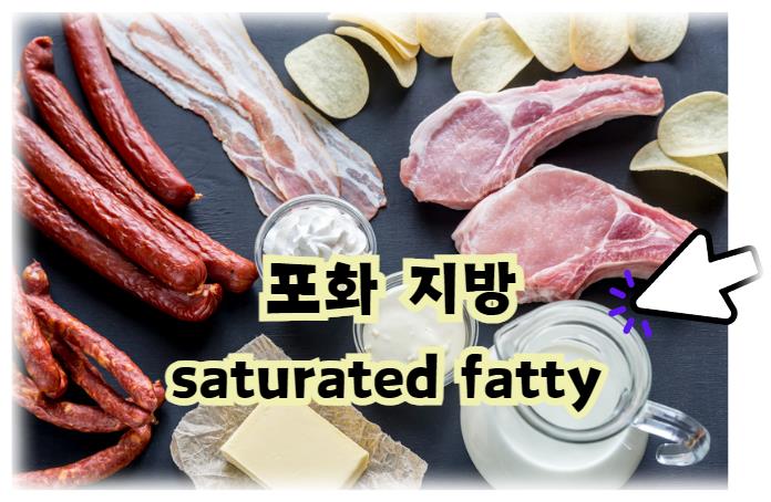 포화지방 saturated fatty