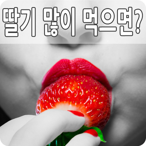  딸기 효능 10가지 부작용 5가지