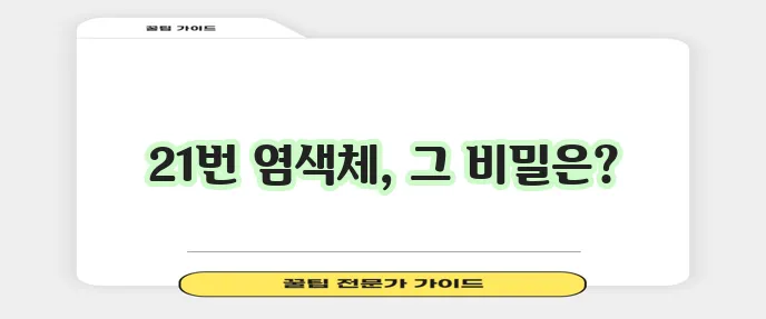 다운 증후군 특징은 염색체 이상으로 정의됩니다!