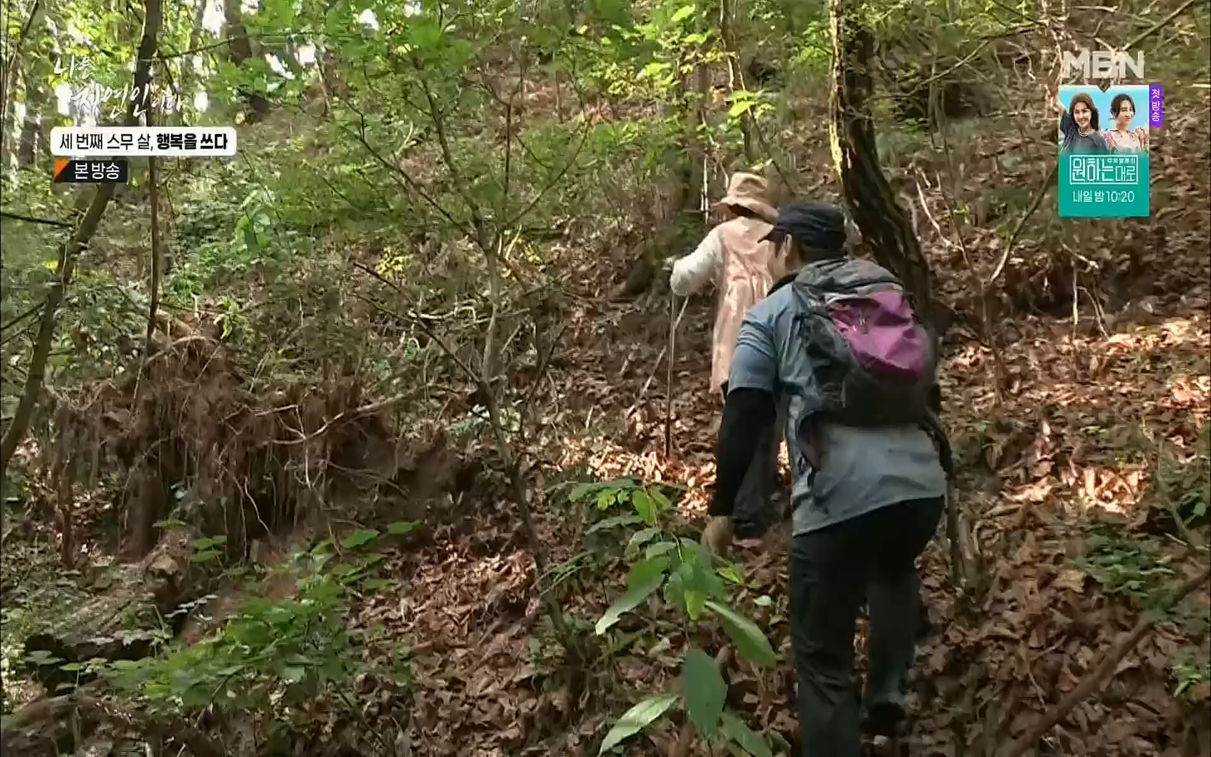 나는 자연인이다.E516.220824p.H264-F1RST.mp4_20220825_164142.393.jpg