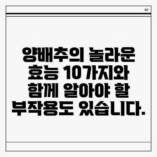 양배추의 놀라운 효능 10가지와 함께 알아야 할 부작용도 있습니다.
