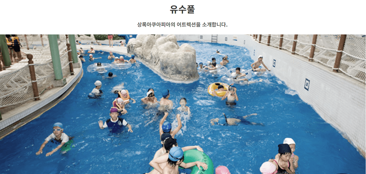 상록리조트 숙박패키지