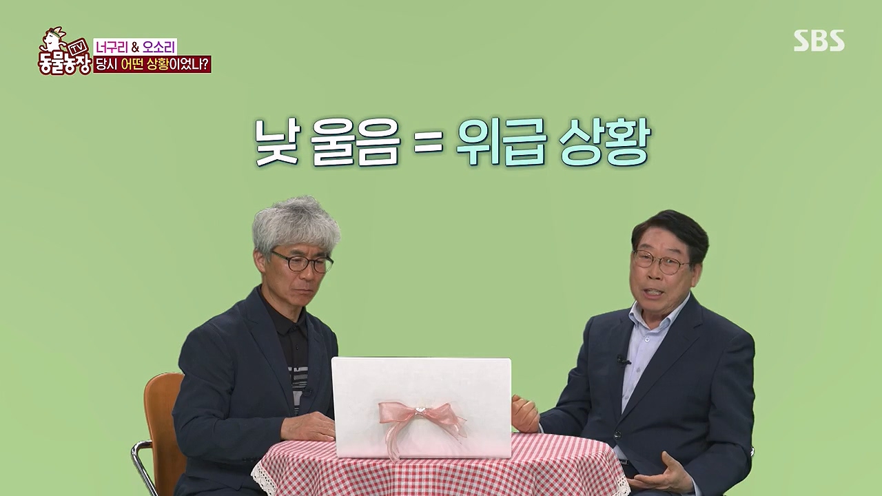 TV 동물농장.E1172.240520p-NEXT.mp4_20240519_163619.103.jpg