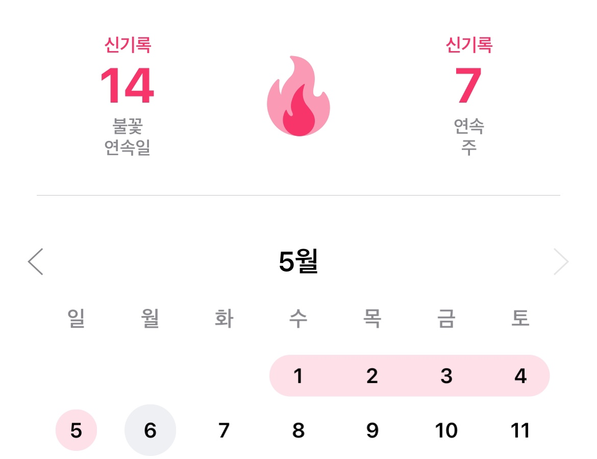  가속도처럼 바빠지는 하루(그럼에도 꾸준한 스픽 14일차