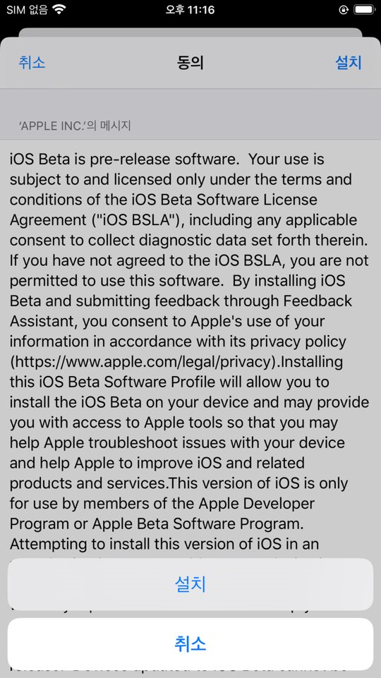 애플 ios14 베타 설치 방법