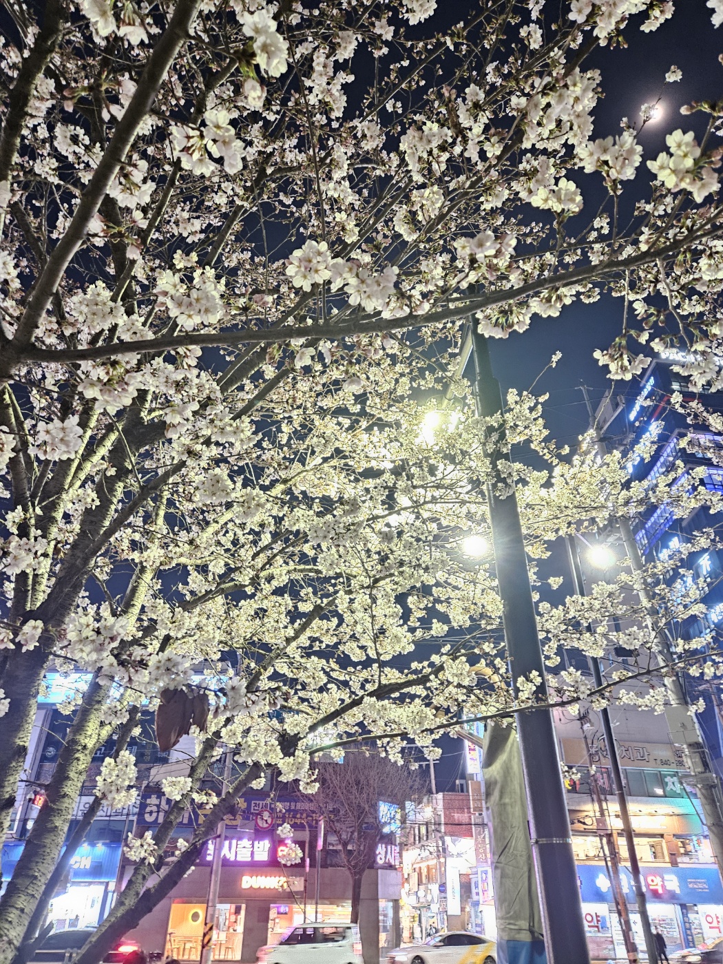 동궁한과 이미지
