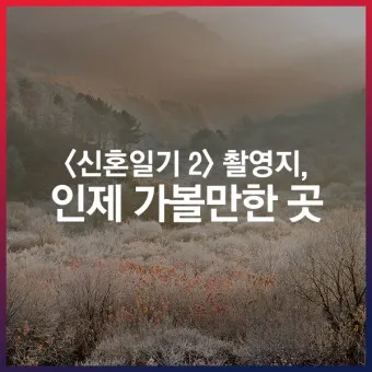 인제 가볼만한곳 베스트10 현지인 추천 필수코스_5