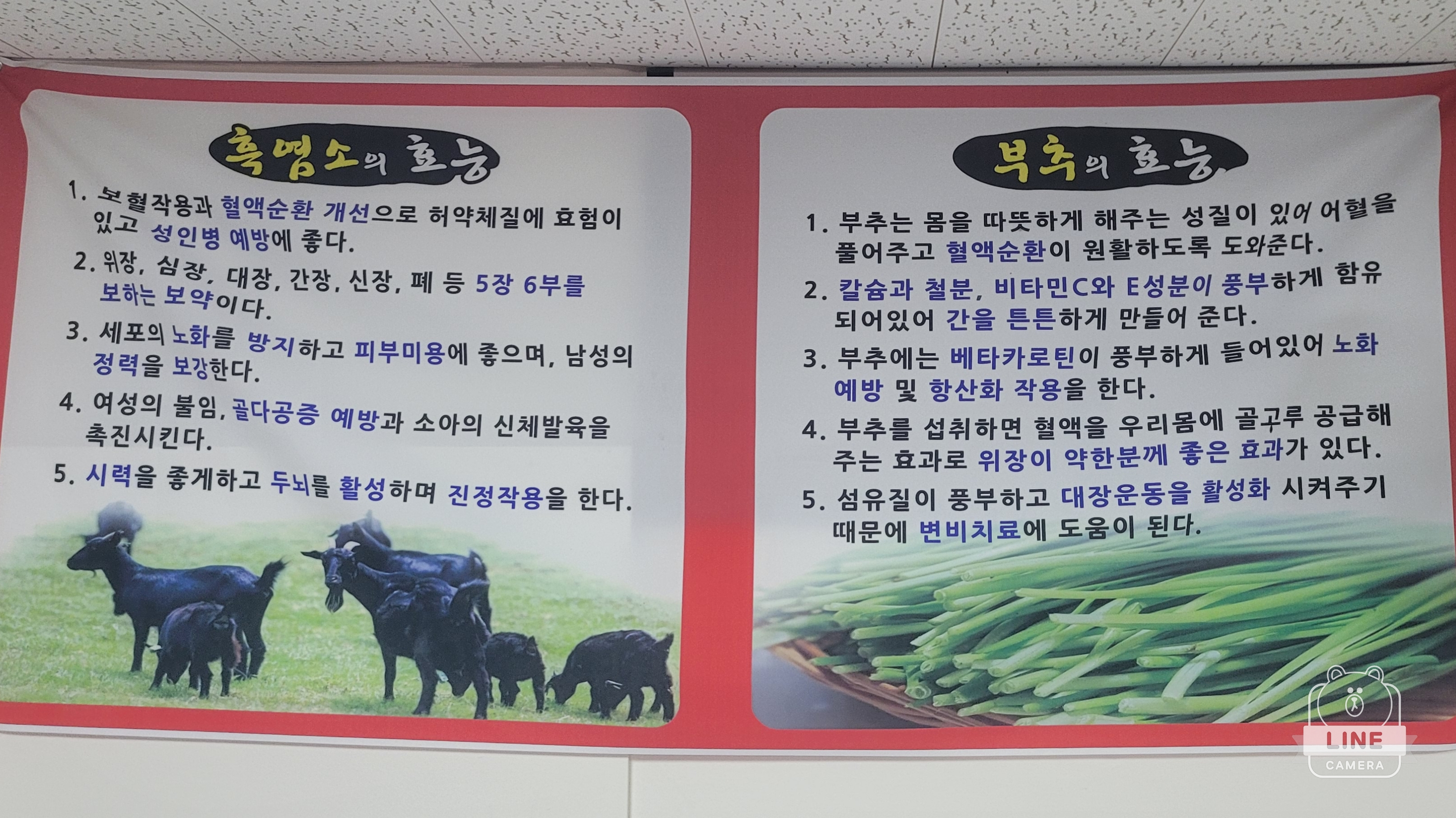 오지리흑염소 이미지