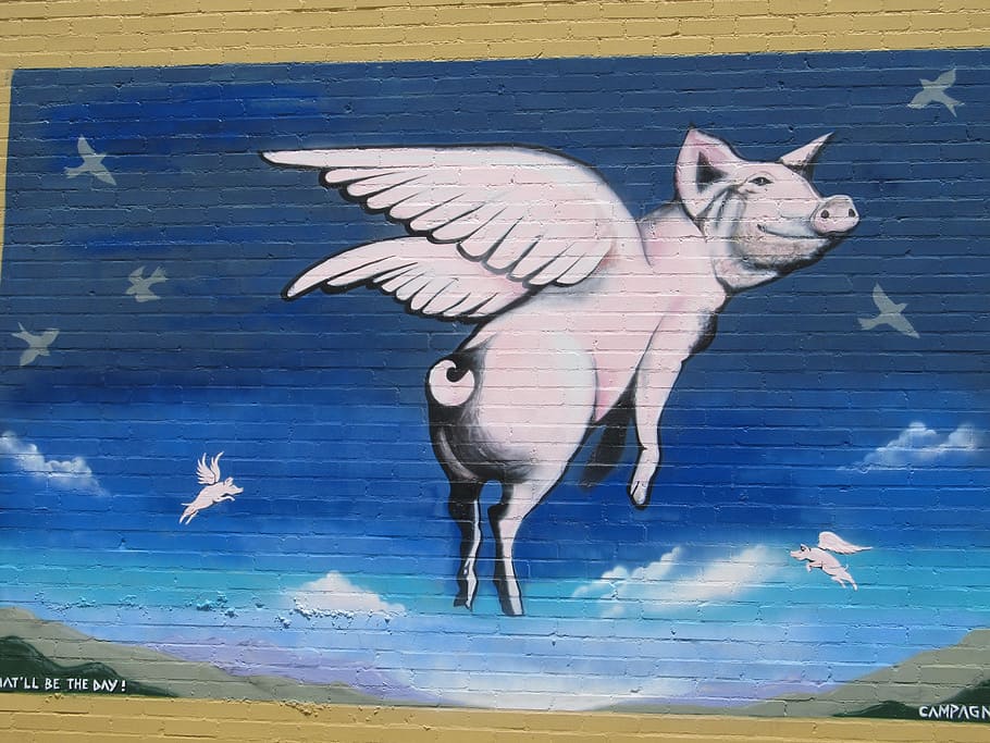 When pigs fly 그럴리가, 해가 서쪽에서 뜬다면