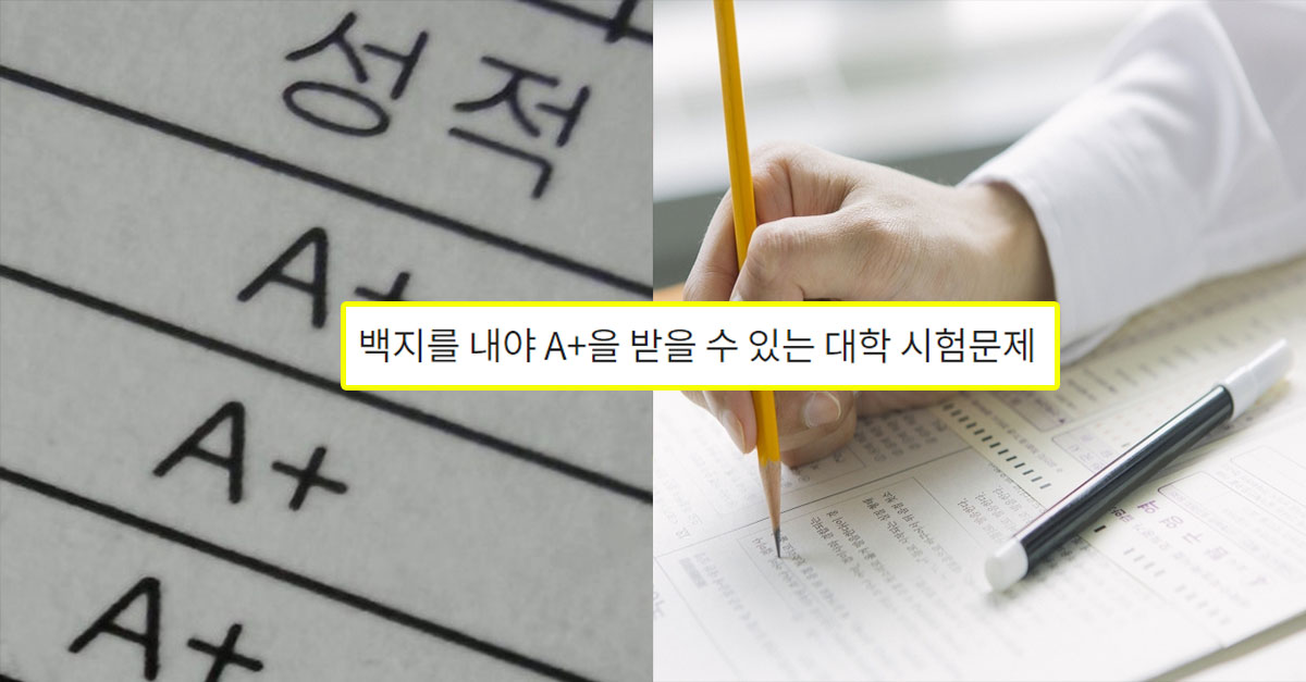  백지를 내야 A+을 받을 수 있는 대학 시험문제