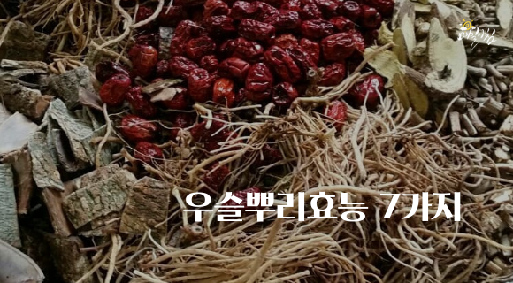  [매일아침좋은글] 우슬뿌리 효능 7가지