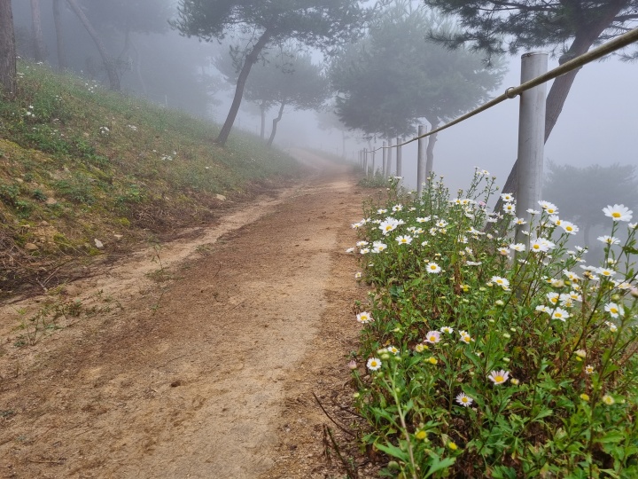 산책로