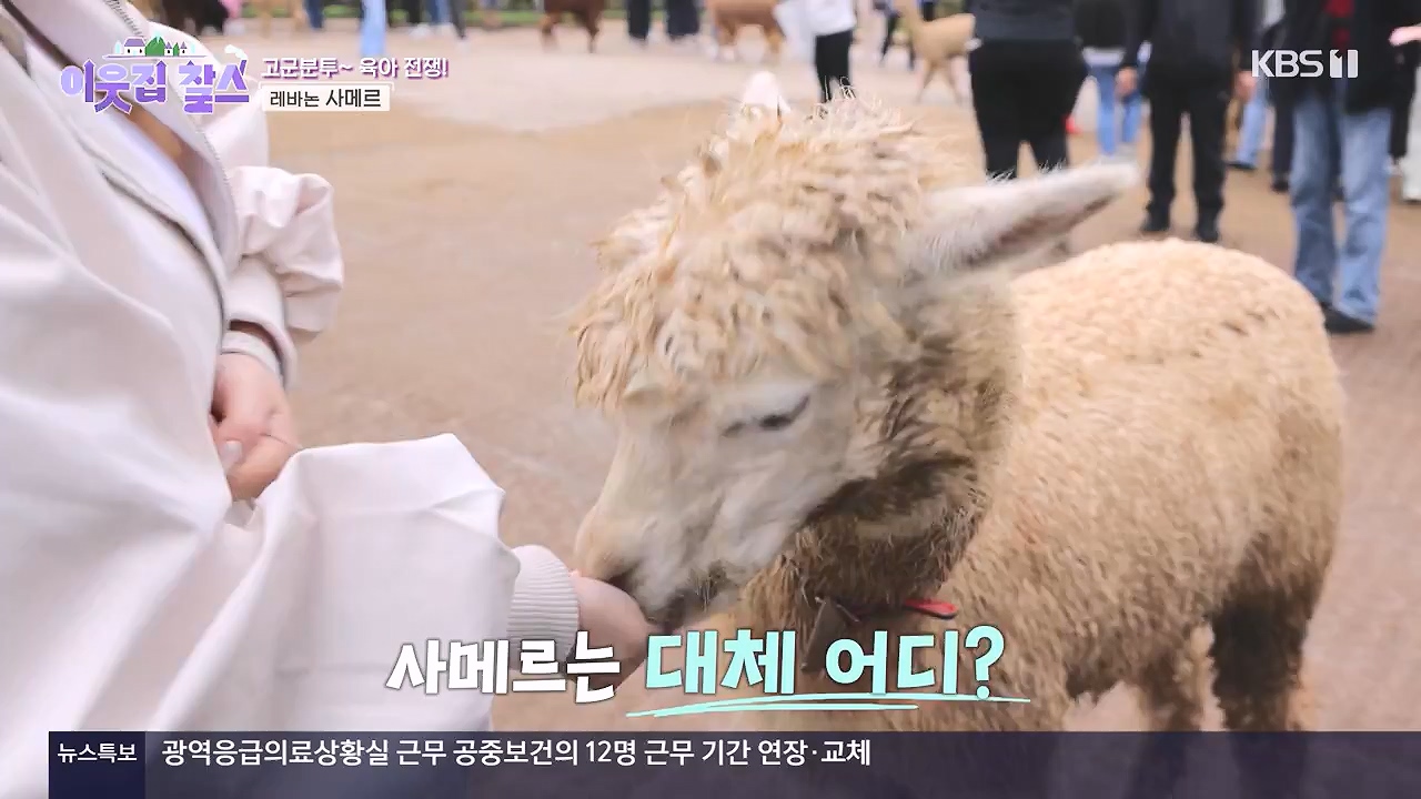 이웃집 찰스.E439.240529p-NEXT.mp4_20240529_195838.820.jpg