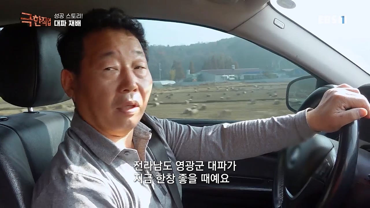 TV - 교육의 중심 EBS성공 스토리! 쪽파 재배와 과일 도매.mp4_20221209_203558.617.jpg