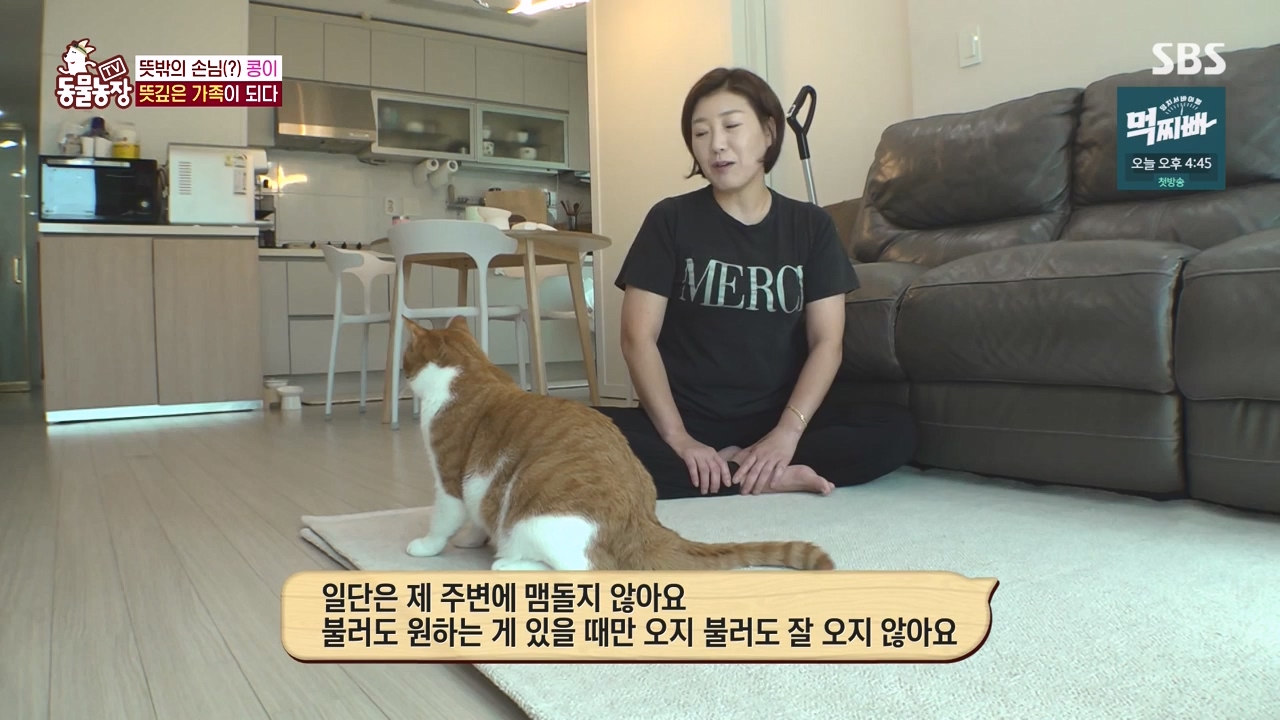 TV 동물농장.E1140.231009p-NEXT.mp4_20231008_174820.310.jpg