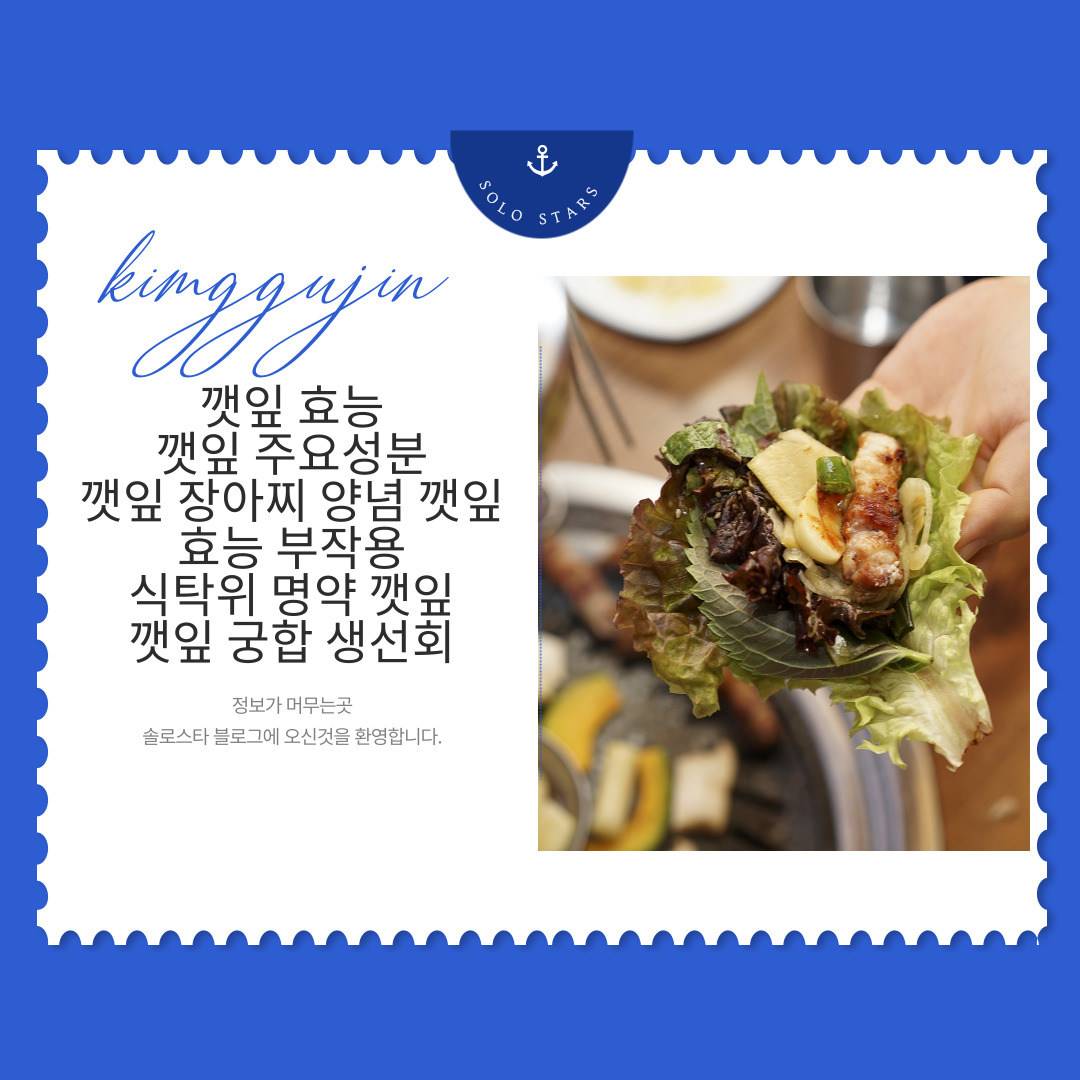 꺳잎 관련 사진