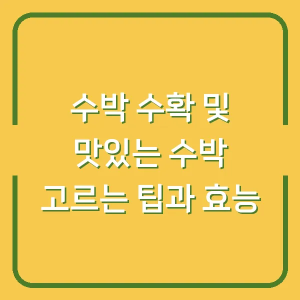 수박 수확 및 맛있는 수박 고르는 팁과 효능