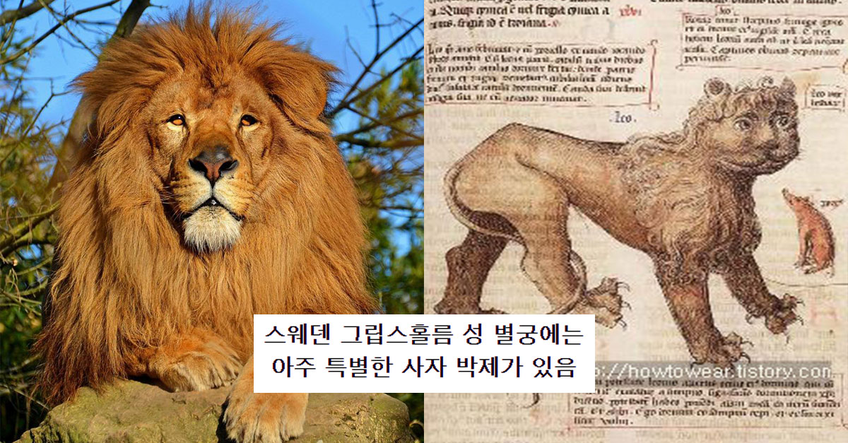  냉혹한 박제 레전드