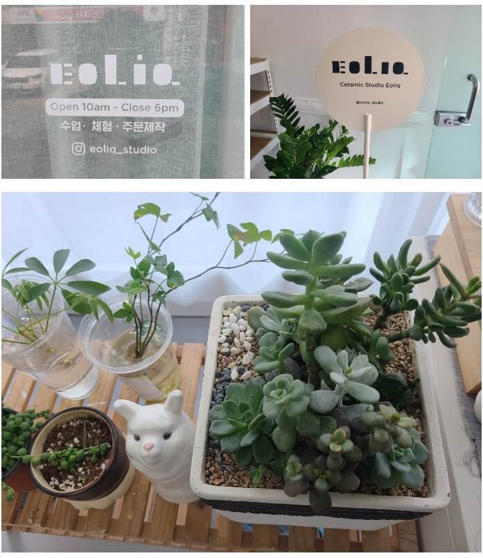 이오리크 이미지