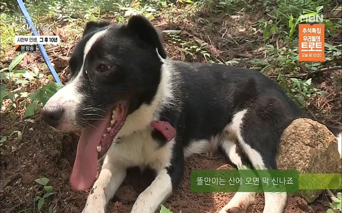 나는 자연인이다.E518.220908p.WANNA.mp4_20220908_200828.341.jpg