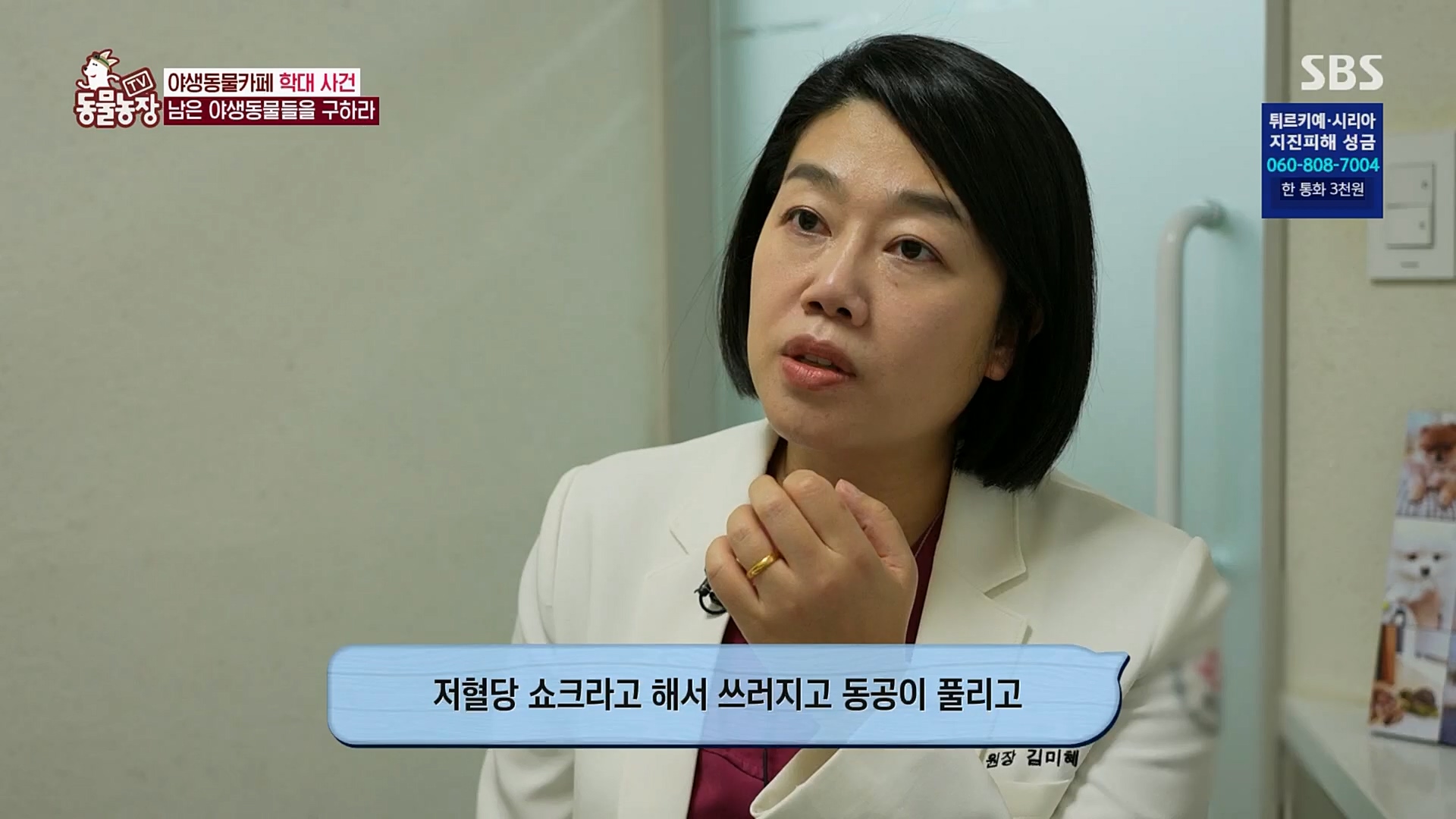 TV 동물농장.E1108.230212p.H264-F1RST.mp4_20230212_182200.418.jpg