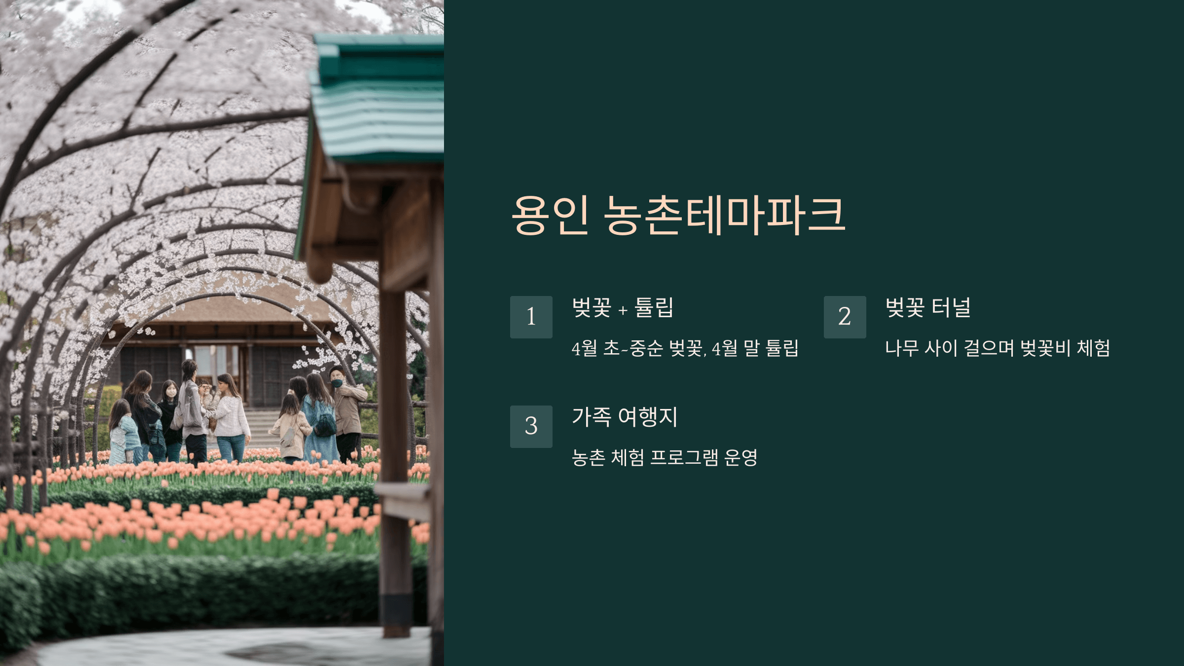 농촌테마파크