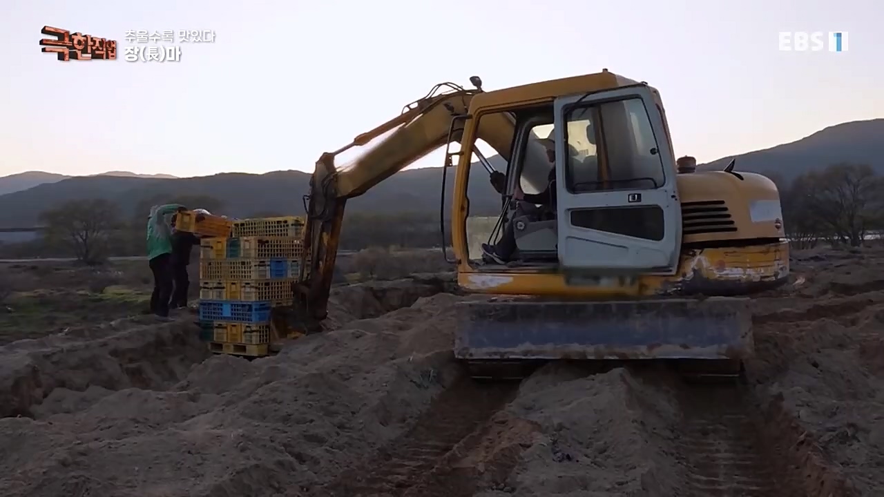 [극한직업] 추울수록 맛있다 장(長)마와 대방어.E734.221218p-NEXT.mp4_20221219_193404.788.jpg