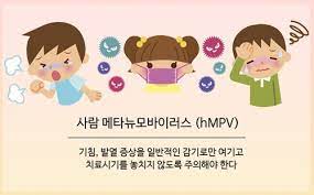 HMPV 증상&amp;#44; 호흡기 질환&amp;#44; 중국 바이러스 확산