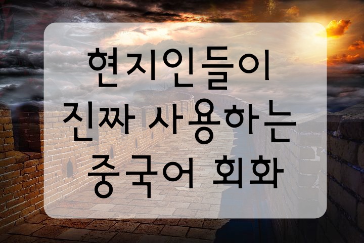 중국어 회화 : 중국인들이 진짜 사용하는 원어민 표현,