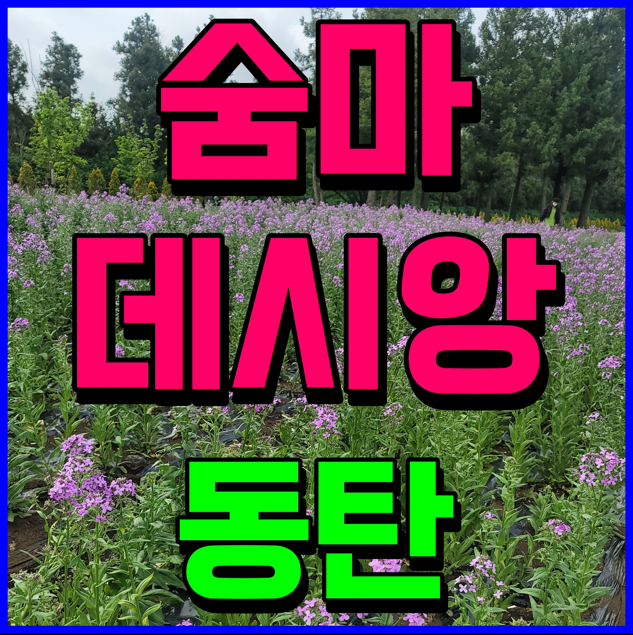  동탄 어울림 파밀리에 숨마 데시앙 모델하우스 2신도시 아파트 분양정보