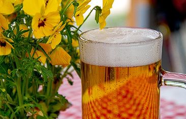 2024 예산 맥주축제 페스티벌 메뉴 주차장 정보