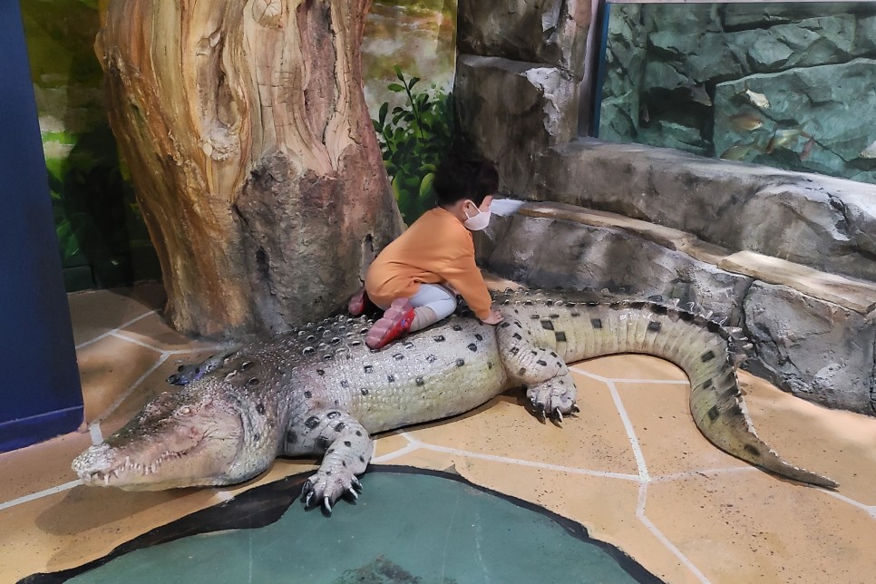 부천 아쿠아리움 부천 아쿠아리움먹이주기 체험 23