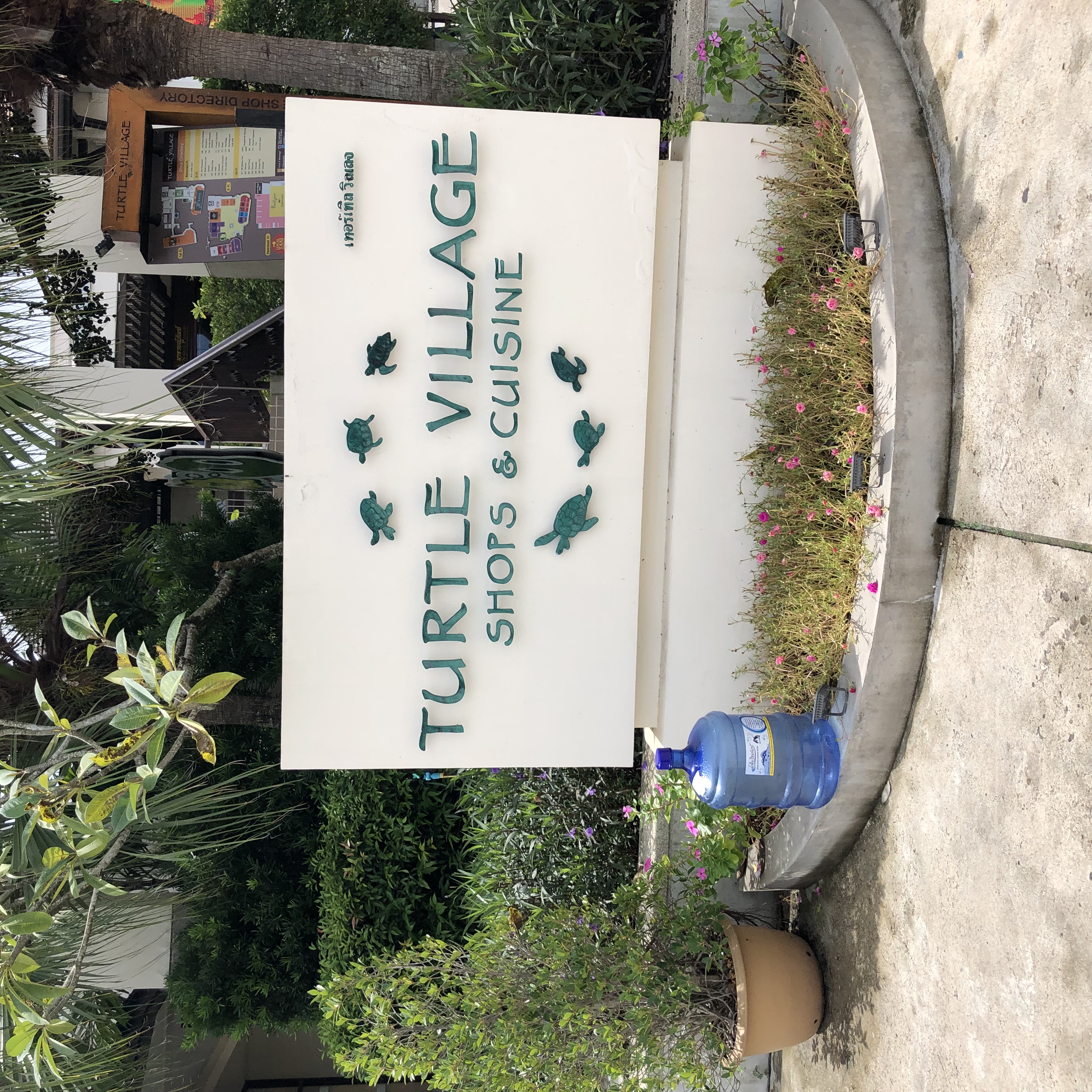  [가족여행]푸켓여행,터틀빌리지,TURTLE VILLAGE, 더커피클럽,THE COFFEE CLUB, 아기랑해외여행