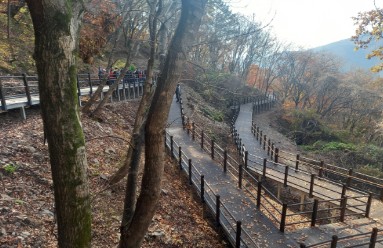 양평 설매재 자연휴양림 예약 방법 완전 정복! 실시간 예약부터 이용 팁까지